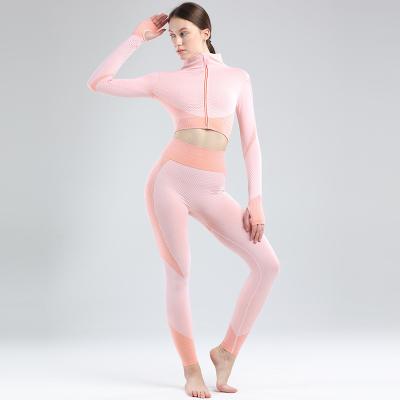 China Nylon Polyester Fitness And Yoga Wear Fitness 2021 New Summer Sexy Ladies Training Suit S-2XL Tracksuit For Adults Gym Wear Women Clothing for sale