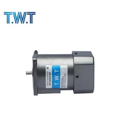 China T.W.T AC Totally Enclosed Asynchronous Motor, Reversible Motor, 5RK40GN-C for sale