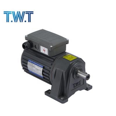 China T.W.T 220V380V totally enclosed small AC motor, 2hp motor, three phase motor for sale