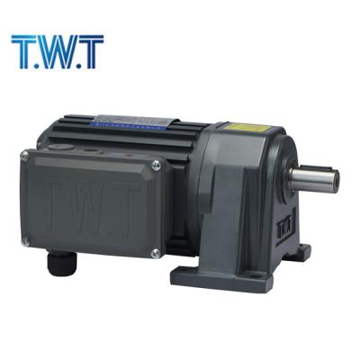 China Totally Included T.W.T At Sale For Dropout Lowest Price Current AC Induction Motor 3 Phase Dual Keys for sale