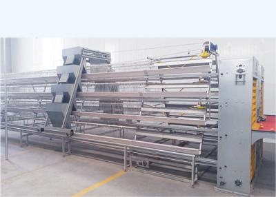 China Hot Galvanized Layer Poultry Farming Equipment / A Type Layer Cages for sale