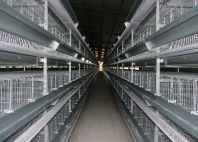 China Indoor Battery Cage Poultry Farming Saving Feed Unique Cross - Opening Door Design for sale