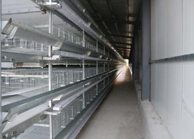 China Poultry Farm H Type Layer Chicken Cage Scientific Designed High - Density Raising for sale