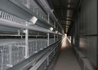 China High Density H Type Layer Chicken Cage Corrosion - Resistant For Closed Chicken House for sale