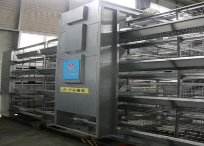 Chine Type des cages de batterie de poulet de rendement élevé/H cage de poulet de 45 jours à vendre