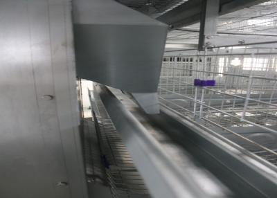 Chine Type matériel d'équipement/batterie d'automation de volaille de poulet de viande de fil d'acier de la cage Q235 à vendre