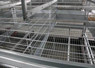 Chine Les cages de batterie de poulet de volaille/ferme de poulet usine la capacité de 120 oiseaux à vendre