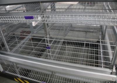 Chine H dactylographient les cages ISO9001 de poulet de ponte d'oeufs de cages de batterie de poulet approuvées à vendre