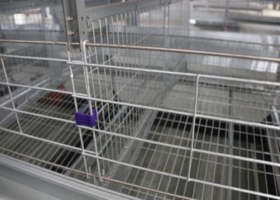 Chine La volaille commerciale de poulet mettent en cage des rangées de la cage de batterie de volaille de couche d'oeufs 8 à vendre