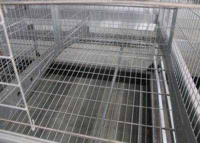 Chine Cages de batterie de poulet de batterie de volaille 15-20 ans de durée de vie pour des fermes à vendre