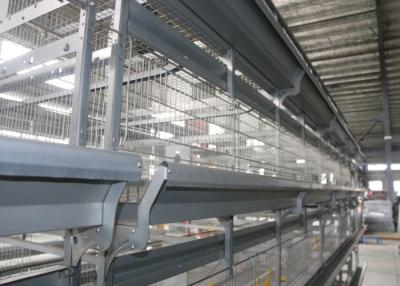 Chine Cages de poulet de large échelle/système empilables modernes de cage de batterie Chambre ouverte à vendre