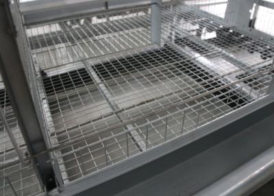 China 4 gradas un tipo jaula del pollo que lleva a cabo el tratamiento del barnizado electrostático de las aves de corral en venta