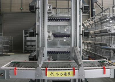 Chine Système de collection d'oeufs de rendement élevé/machines agricoles automatiques d'oeufs à vendre