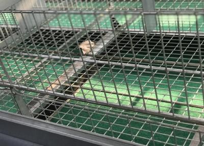 China Het Landbouwbedrijf Commerciële Gevogelte van de kwartelsvogel het Water geven Systemen voor de Kippen van Grillslagen Te koop