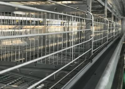 China Hohe Leistungsfähigkeits-automatisches Huhn-Waterer-System/Bratrost-Selbsttränke zu verkaufen