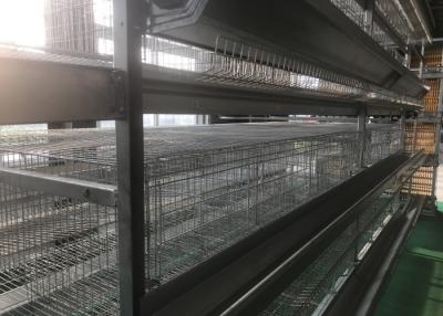 China Industrial Poultry Farm Feeding System  Comfortable Cage Poultry House for sale