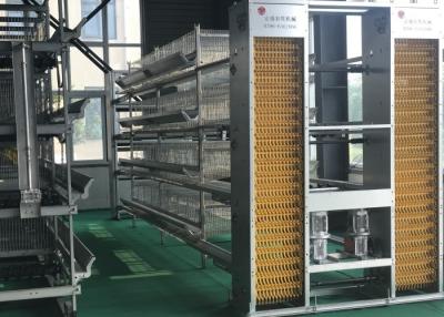 China Commercieel Automatisch van het het Systeem Automatisch Gevogelte van de Gevogeltevoeder de Voedersysteem Te koop