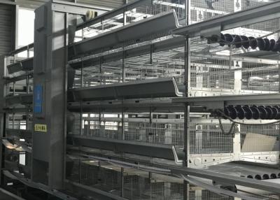 China Heißes galvanisiertes automatisches Geflügel-Versorgungssystem für h-Art Schicht-Käfig zu verkaufen