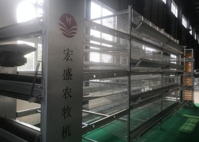 China Equipamento de alimentação Q235 das aves domésticas da exploração agrícola de galinha de High Tech baixo material do fio de aço carbono à venda