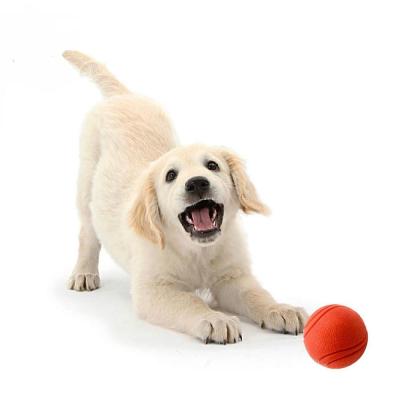 China Sports Indestructible Hard Rubber Chew Toy Dog Tennis Ball Toy for sale