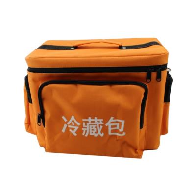 China Insulated Easy To Carry Refrigeration No Electricity Cooler Bag for sale