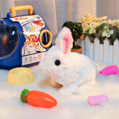 China Amazon Hot Selling Children's Plush Toys Can Walk Electric Tail-Wagging Puppies Rabbits Dogs Dolls Customized Size for sale