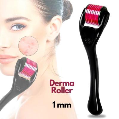 China Wrinkle Remover Hair Growth Bear Skin Care Derma Roller 540 Face Massage Roller Micro Needle Derma Roller Titanium for sale