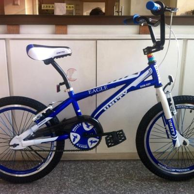 China DIRT JUMP OEM BMX /FREE STYLE BICYCLE for sale