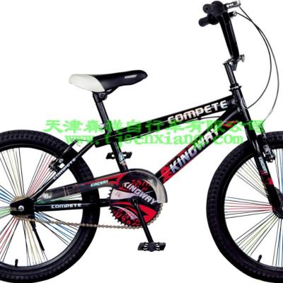 China Street OEM Freestyle Bicycle for sale