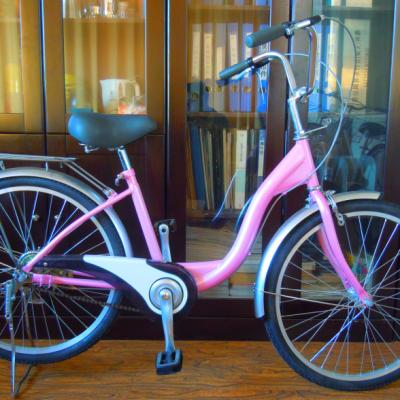 China OEM City Steel Bike For Lady for sale