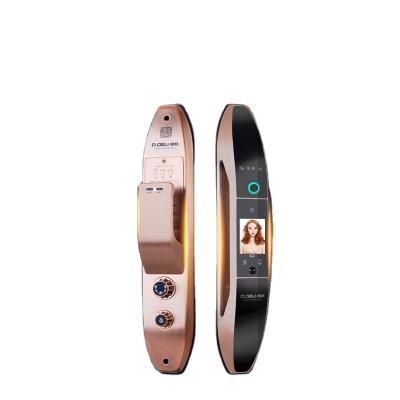 China D.Deli DRZ001 Stylish High Quality Hot Selling Biometric Fingerprint IC Card Biometric Smart Door Lock Apartment D.Deli DRZ001 for sale