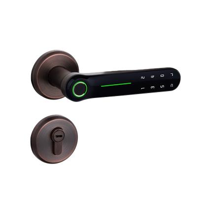 China D.Deli DF005 Fashion Luxury Zinc Alloy Slot Door Lock Fingerprint Smart Biometric Door Lock For Home Apartment DF005 for sale