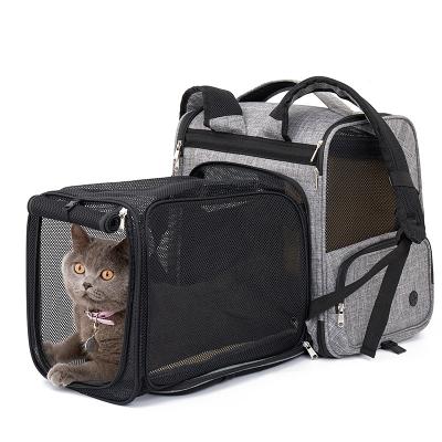 China Large Size Stored Pet Backpack Carrier Bags For Dogs Small Cat Expandable Breathable Mesh Pet Travel Carrier Backpack for sale