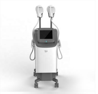 China Skin Tightening 2021 New Aesthetics Machine To Build Muscle Weight Loss Equipment for sale