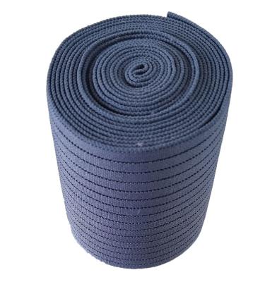 China New Arrival Latest Design High Tenacity Viable Webbing 5CM Edge Elastic Band For Waist for sale