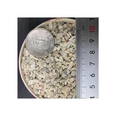 China Material Aquarium Filter All Natural Best Quality Coral Sand for sale