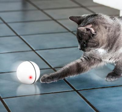 China Confirmed High Quality Electronic Pet Cat USB Led Ball Charge Cat Toys Automatic Scrolling Cat Ball Toy for sale