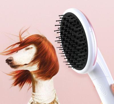 China High Quality Viable Pet Comb 2 in 1 Dog Cat Grooming Brush Pet Dryer Hair Dryer Comb for sale