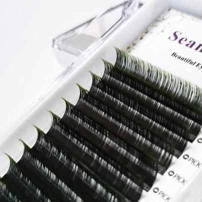 China 2022 0.07 Color Ombre Latest Natural Soft Single Lengths Thick Volume Lashes Full 6-15 Mm In Regular Curl J Since C CC D DD for sale