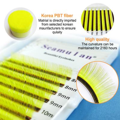 China 2022 0.03 Latest Color Natural Soft Single Lengths Thick Natural Eyelashes Full Volume 16-25 Mm In Regular Curl J Since C D DD for sale