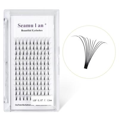 China Crisscross D Loop Pre Fanned PS 0 OEM Beauty Color Tray 12 Russian Black Light Lines 10mm New Style Volume Lashes Fans Eyelash Extension for sale