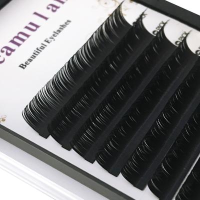 China Wholesale 2021 New Fan Natural Easy Lash Soft Dual Density Curl C cc D Double Density Curl Wholesale Natural Classic Volume Easy Fan Lashes Extension for sale