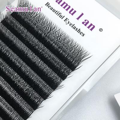 China WW Natural Soft Extension OEM Private Label Russian Mink Eyelash Extensions Professional Supplies Different for sale