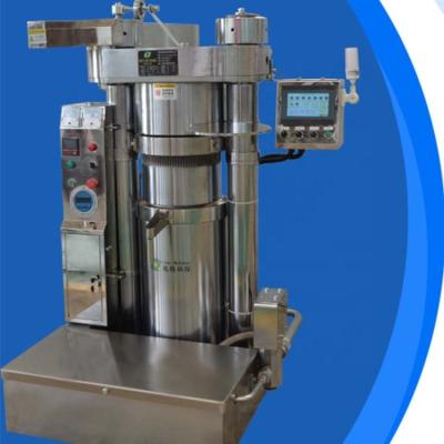 China food & Beverage Plant Sesame Machine Nuts Machine Price Automatic Garlic Press Large Pots Hydraulic Oil Press for sale