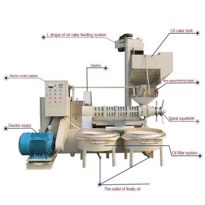 China Building Material Shops Palm Full Automatic Coconut Seed Avocado Commercial Cold Screw Oil Press for sale