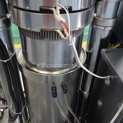 China Factory Filter Business Cold Nuts Making Oil Palm Plant Machine Rapeseed Oil Press for sale