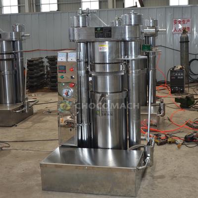 China food & India Beverage Red Baobab Mango Plant Industrial Lemon Peel Palm Use Oil Extraction Machine for sale