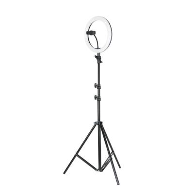 China ABS+Aluminum Led Ring Light 5W 12W Phone Holder Ring Light 26cm 30cm 1.5M 2.1M 3000K 4500K 6000K Ring Current for sale