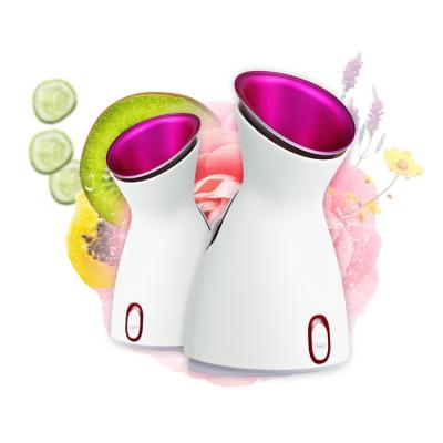 China Water Molecules Mini Mist Sprayer Electrolytic Nano Steamer DEEP CLEANSING Vaporizer and Mini Facial Steamer with Ozone for sale