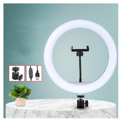 China Adjustable Tempurate USB Rechargeable Colored 26cm 10 Inch Ring Light With Phone Holder For Sale for sale